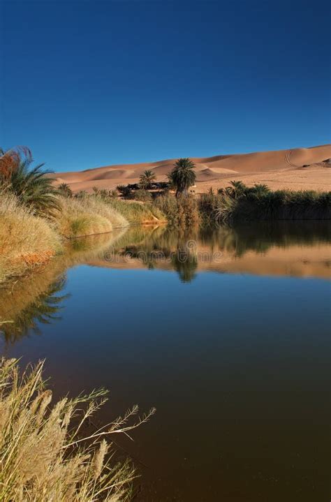 Oasis desert stock photo. Image of nature, arabic, dune - 18511574