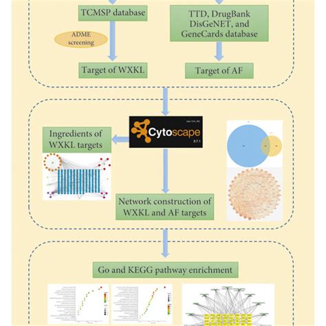 Analysis Framework Based On An Integrated Network Pharmacology Strategy Download Scientific