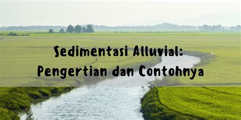 Sedimentasi Alluvial Pengertian Dan Contohnya