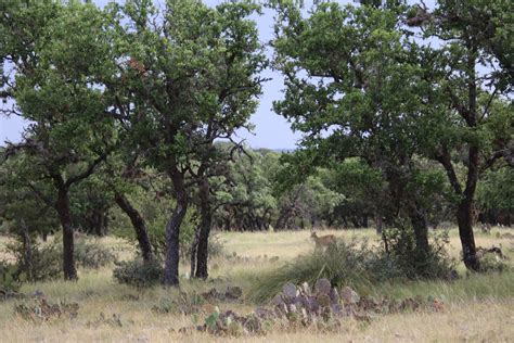 Acres In Edwards County Texas