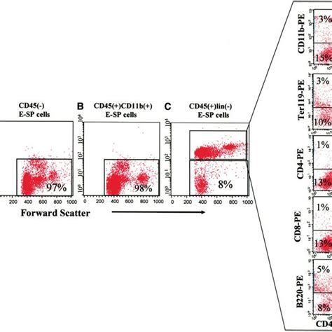 Cd45 Lineage E Sp Cells Have Hematopoeitic Stem Cell Activity