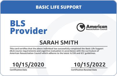 Official Bls For Healthcare Providers Certify Online Today