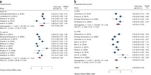 Allogeneic Stem Cell Transplant For Treatment Of Mycosis Fungoides And