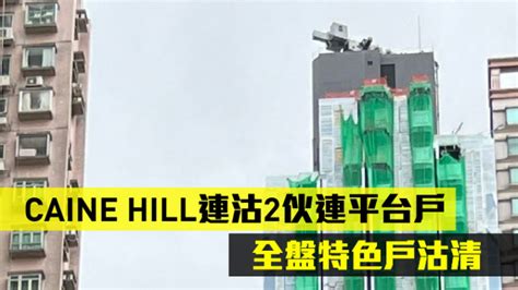 热辣新盘放送｜caine Hill连沽2伙连平台户 全盘特色户沽清 星岛日报