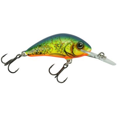 Salmo Floating Hornet Crankbait | FishUSA