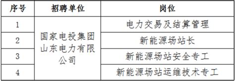 2023年国家电投山东总公司山东院公开招聘公告 高顿央国企招聘