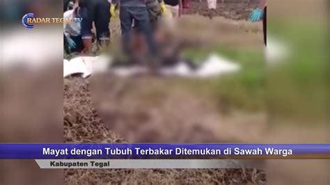 M4y4t Dengan Tubuh T3rb4k4r Ditemukan Di Sawah Warga YouTube