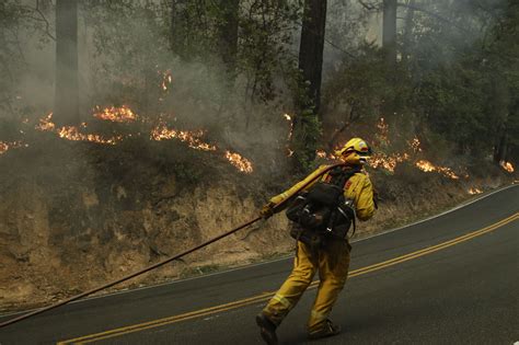 The Latest: Video shows California deputy braving flames - The Garden ...