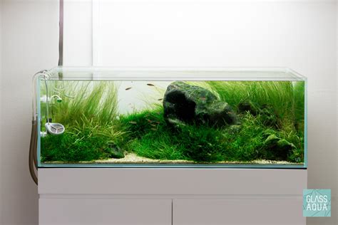 Ultum Nature Systems Rimless Long Glass Aquarium Tank