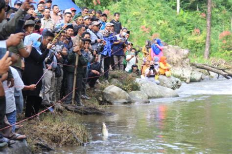 Ketika Gubernur Berkunjung Ke Rantau Kermas Kki Warsi