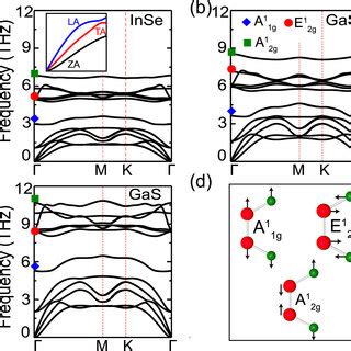 Calculated Partial Phonon Density Of States PDOS Versus Frequency For