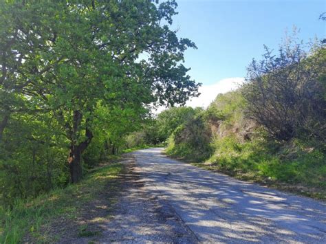 Conero Wine Trekking Unescursione Per Le Cantine Del Vino Rosso