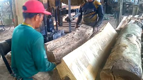 Penggergajian Kayu Laban Dan Kayu Medang YouTube