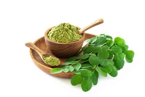 Benefícios Da Moringa Blog Da Saúde