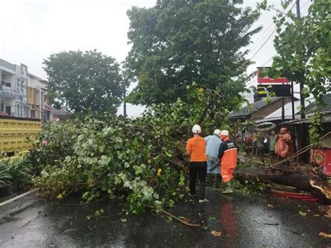 Angin Kencang Terjang Karanganyar Pohon Pohon Bertumbangan Espos Id