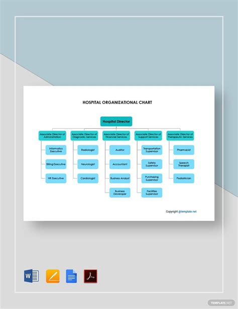 Blank Hospital Organizational Chart Template in Google Docs, Word, PDF ...