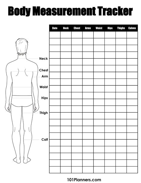 FREE Body Measurement Chart Printable Or Online