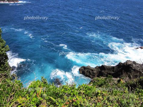 石廊崎の海岸風景 写真素材 4156513 フォトライブラリー Photolibrary