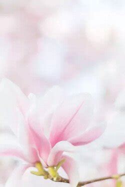 Книги Элис Манро - скачать бесплатно, читать онлайн