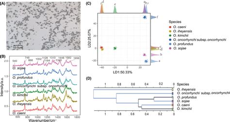 Multivariate Analysis Of The Singlecell Raman Spectra Of Six