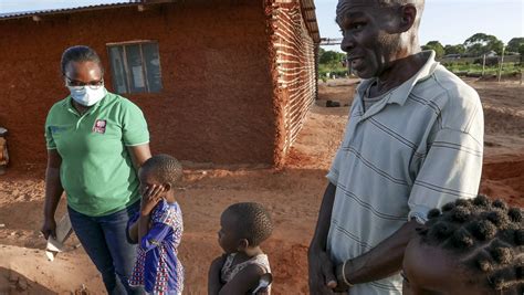 Ataques em Moçambique Deslocados enganam a fome folhas de feijão e