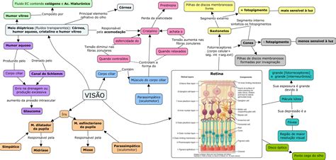 Mapa Mental Neurofisiologia Mapa Mental Faculdade De Psicologia Porn