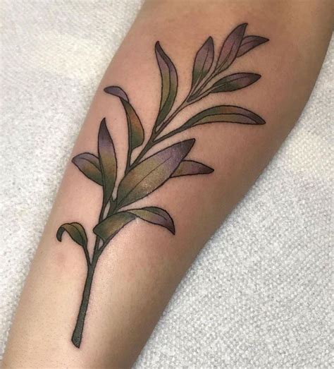 Elegant Sage Tattoos You Must Love Xuzinuo