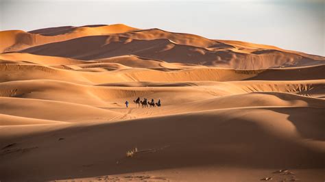 Tour desde Marrakech a Fez por el desierto de Merzouga en 3 días