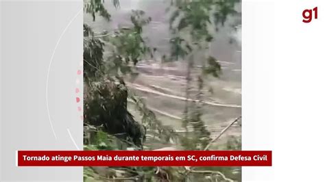 Tornado derruba e arranca árvores pela raiz durante chuvas em SC VÍDEO