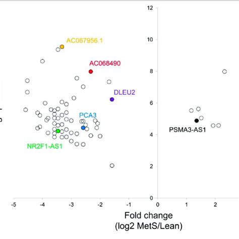 A Circulating EVs Expressed Common EV Markers Including CD9 CD63