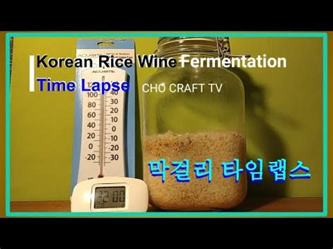 Korean Rice Wine makgeolli Fermentation Time Lapse 막걸리 발효 타임랩스 YouTube