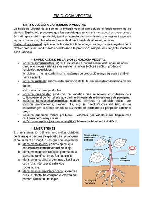 Intro Fisio Vegetal Fisiologia Vegetal Introducci A La Fisiologia