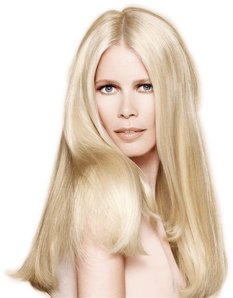 Pin On Claudia Schiffer Hair Photography Claudia Schiffer Beauty Icons