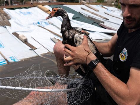 Olya Morvan On Twitter RT Zaborona Media Rescuers And Volunteers In