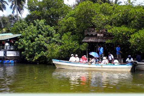 Madu River Boat Safari 2023 - Kalutara