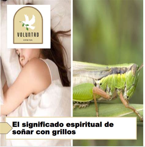 El Significado Espiritual De So Ar Con Grillos