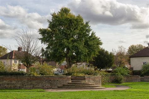 Plumstead Gardens Enthusiastic Gardener