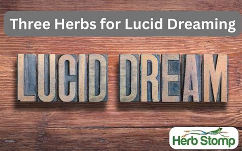 Three Herbs For Lucid Dreaming Herb Stomp