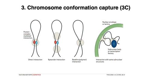 Mcb Lecture Genome Assembly Scaffolding Contigs Youtube