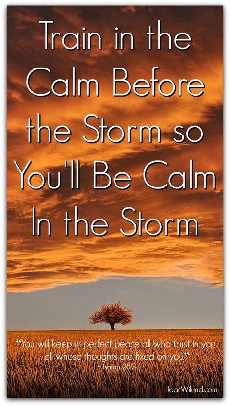 Calm Before The Storm Quotes - ShortQuotes.cc