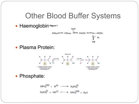 Blood buffer system | PPT