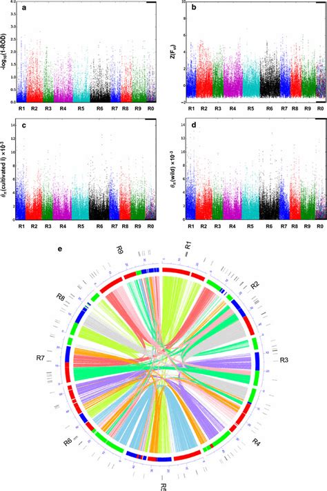 Genome Wide Analysis Of Nucleotide Diversity And Selection