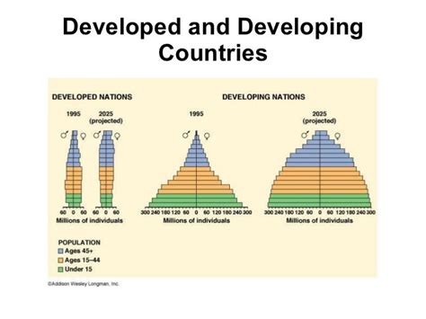 Introduction To Population Pyramids