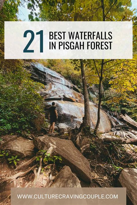 21 Pisgah National Forest Waterfalls For Adventure (2024)