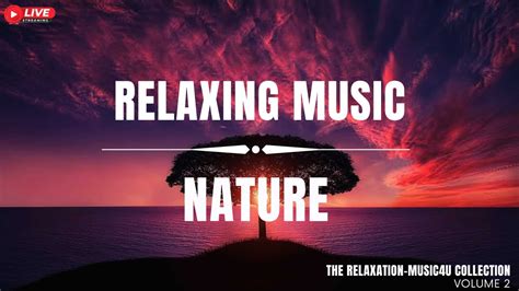 Live 24 7 New Original Relaxing Music Nature Stress Relief Meditation For Soothing And Deep