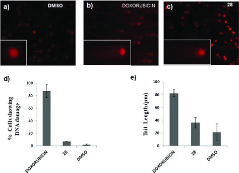 Effect Of Compound 28 On DNA Damage Comet Assay MCF 7 Cells Were