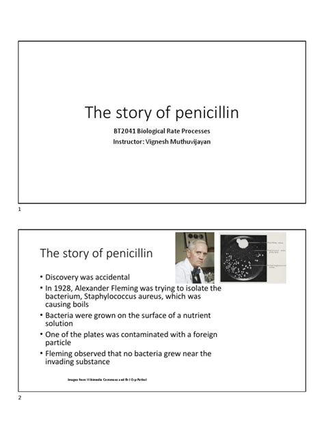 The Story of Penicillin | PDF | Phases Of Clinical Research | Penicillin