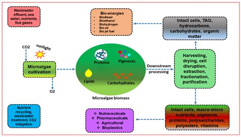 Energies Free Full Text Exploring The Pivotal Significance Of