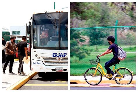 El Sistema De Transporte Universitario Y Lobobici Una Opción De Movilidad Económica Y