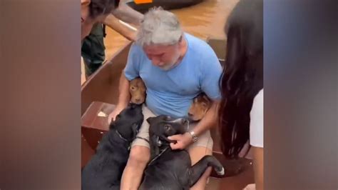 As Fue El Emotivo Reencuentro De Un Hombre Con Sus Perros Tras Las